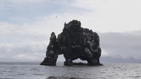 Hvitserkur-rock-formation-and-Northern-fulmar-fly-around-nesting-place