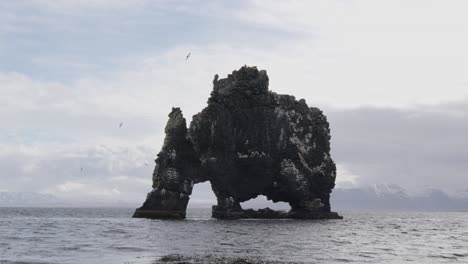 formación rocosa hvitserkur y fulmar del norte vuelan alrededor del lugar de anidación