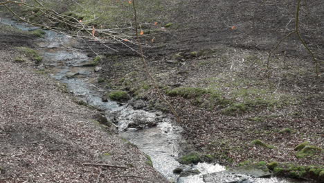 Idyllic-river-with-flowing-water-stream-at-Brudergrund,-Erbach-in-the-middle-of-the-woods-with-tree-brunch-in-front,-view-from-the-distance