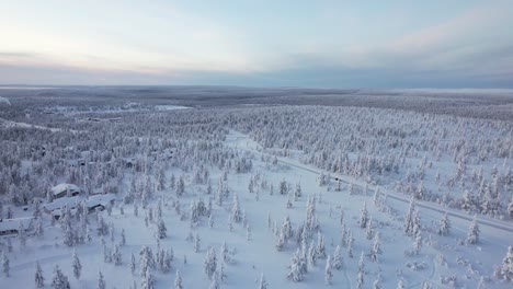 aerial drone spiral pan of arctic forest landscape in finland