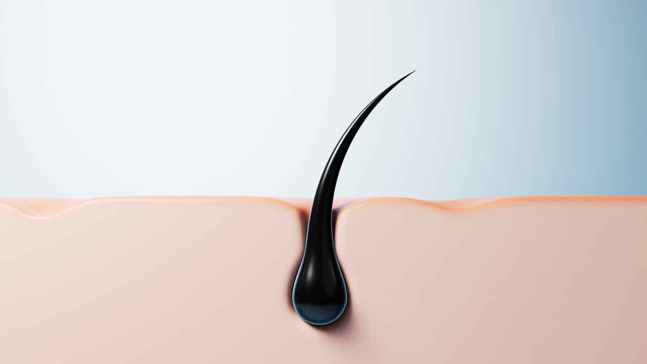 Skin with hair in pores, hair treatment concept, 3d rendering.