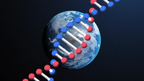 animación de una cadena de adn girando sobre el planeta tierra