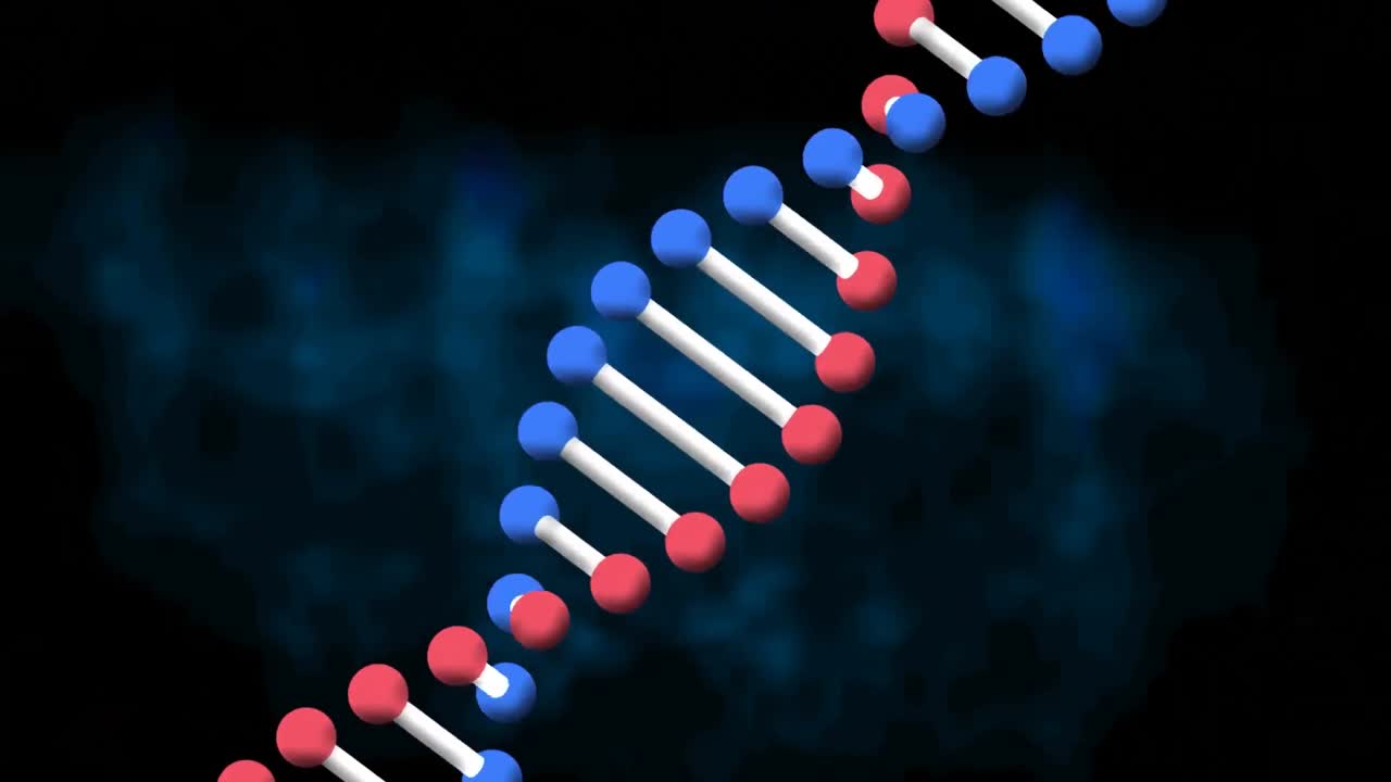 animación de una cadena de adn de modelo 3d giratorio, sobre un fondo azul oscuro