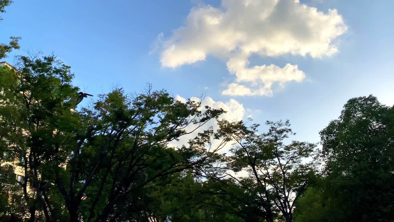 요코하마의 아름다운 풍경