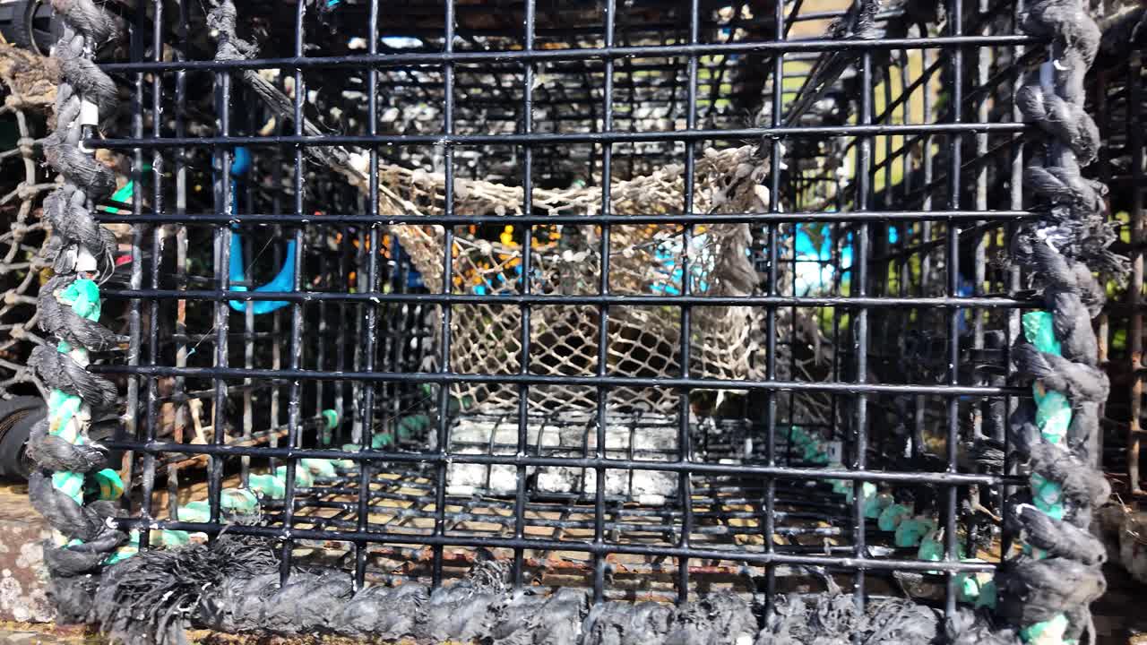 Weathered crab traps, tangled rope, and metal grid on a coastal fishing setup, hinting at harvest