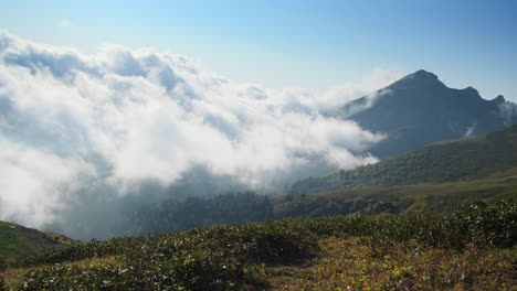 las cimas de las montañas brumosas
