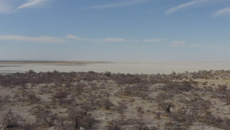 aerial view of unique and dry granite rock island on kubu island, makgadigadi pans botswana