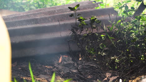 fumes and soot from old gasoline water pump polluting plants on plantation in vietnam