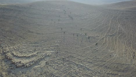 drone shot a number of idf first army soldiers in a military exercise