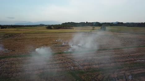 Harvested-rice-field-is-burned-in-open-field-at-Malaysia,-Southeast-Asia.