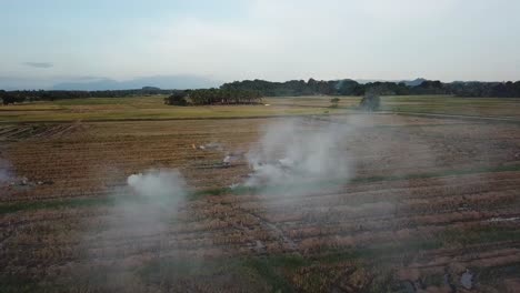 harvested rice field is burned in open field at malaysia, southeast asia.