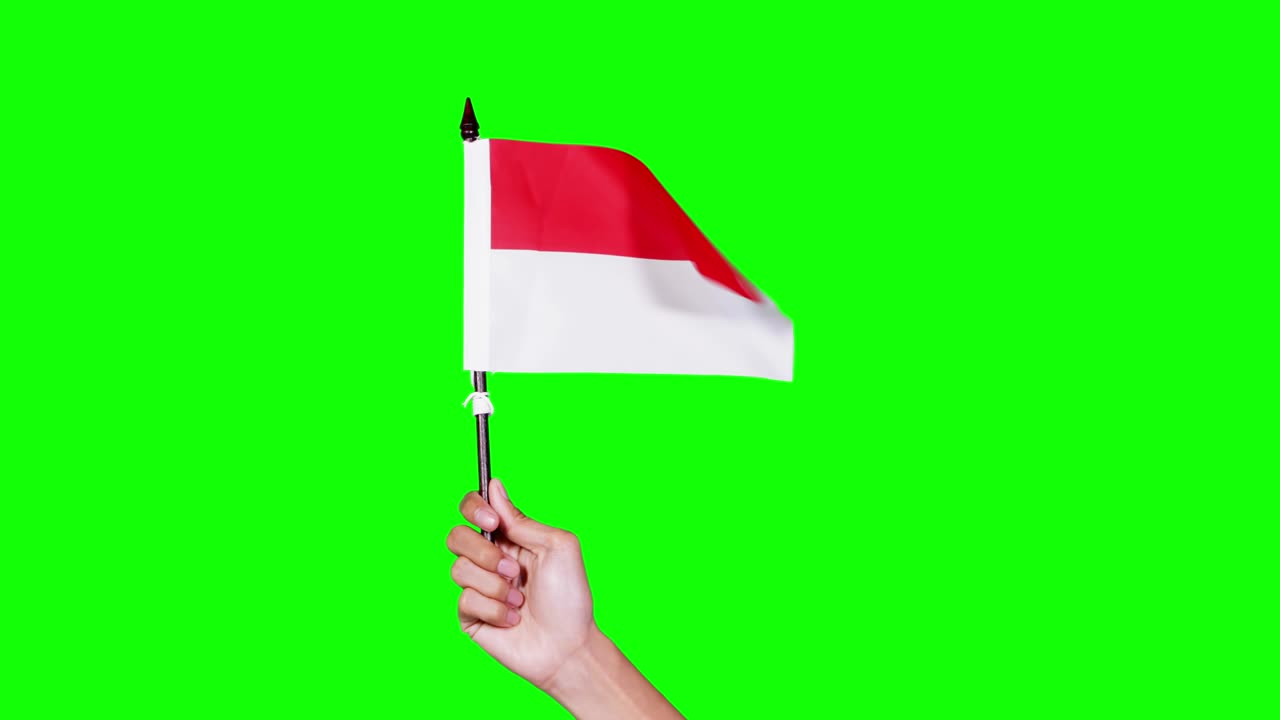 Hand holding Indonesian country flag in studio