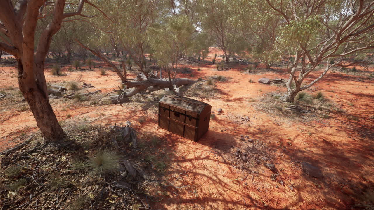 cofre del tesoro en un bosque desértico