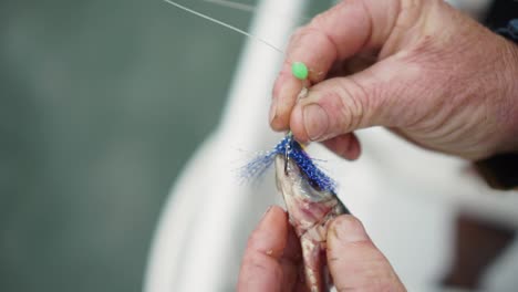 el hombre pone peces de cebo en el anzuelo de señuelo