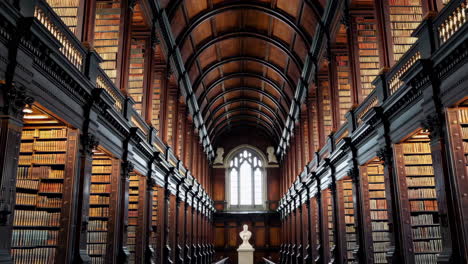 classical marble bust in a historic library