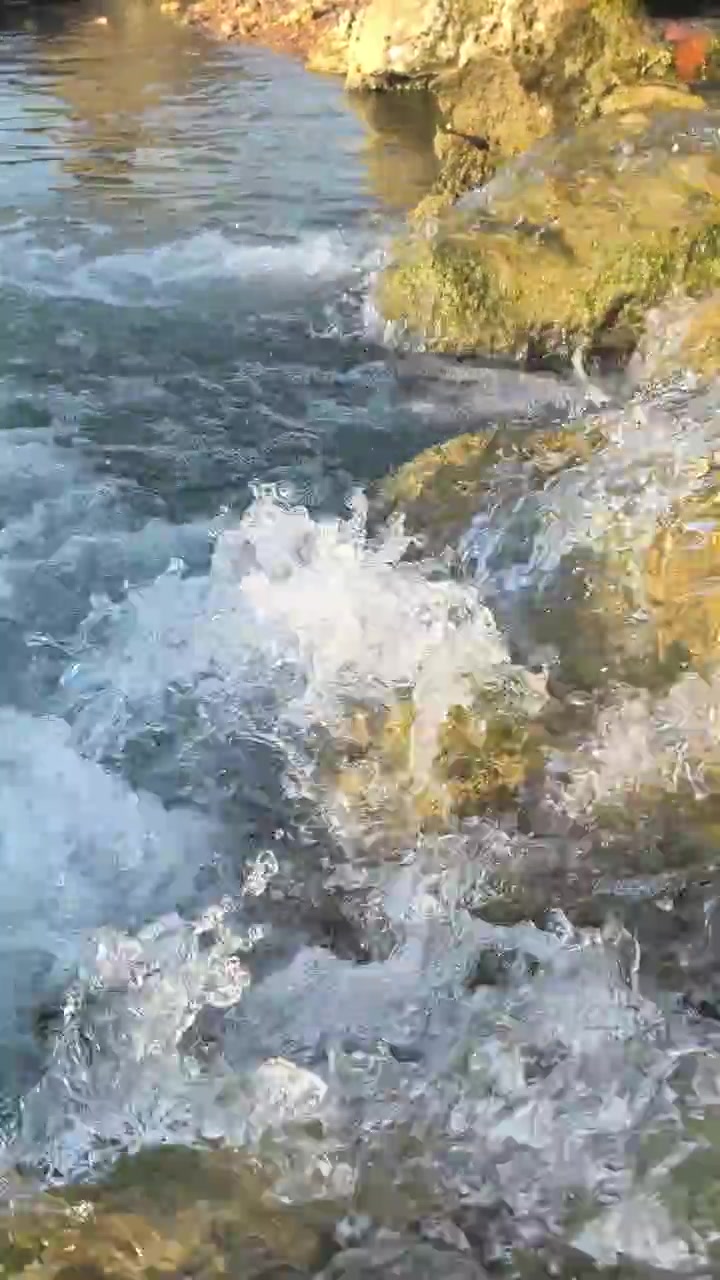 Acqua limpida che scorre su rocce muschiose in un ruscello