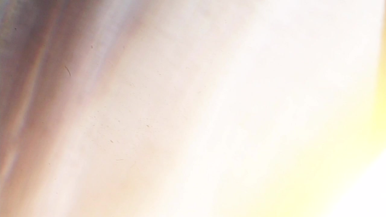 Cinematic Light Leaks and Lens Flares Transition Effect