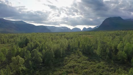tomada de avión no tripulado de la naturaleza sueca en verano en escandinavia con cielo nublado