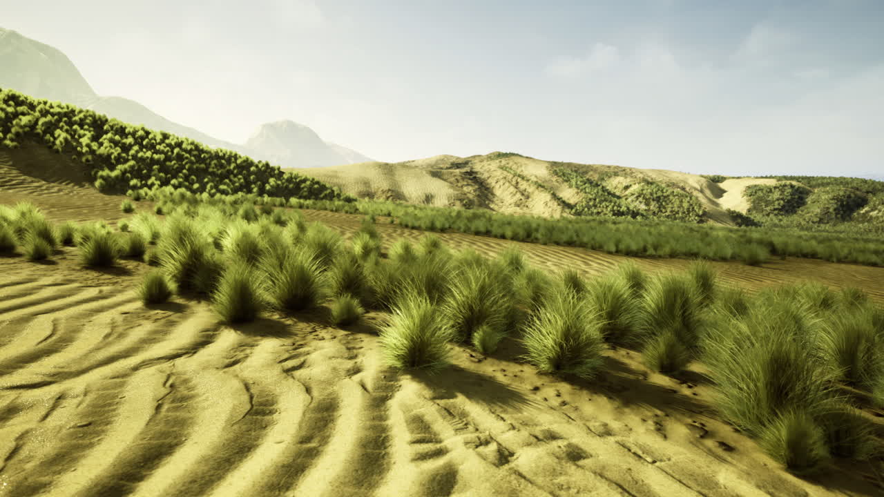 Expansive desert landscape with rolling sand dunes and sparse vegetation