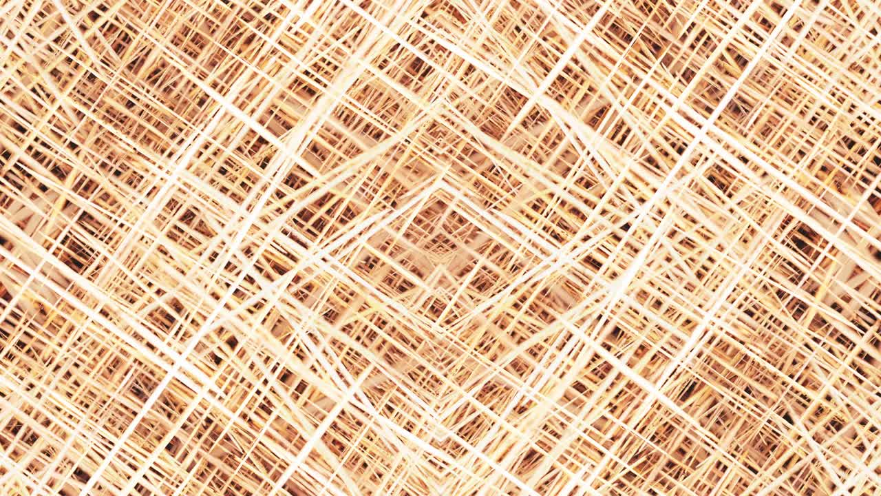 las cañas en simetría - en bucle