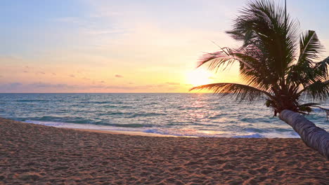 A-colorful-sunset-peeks-through-the-branches-of-a-palm-tree-as-the-ocean-waves-crash-below