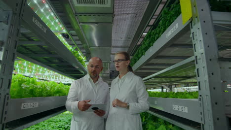 a man and a woman in white coats are on the modern laboratory of the future for growing salads and vegetables.