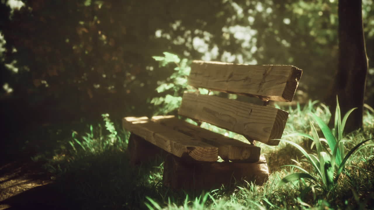 Wooden bench surrounded by lush greenery in a sunlit park setting