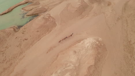 la tropa de camellos en el paisaje del terreno de erosión del viento, la forma del terreno de yardang.