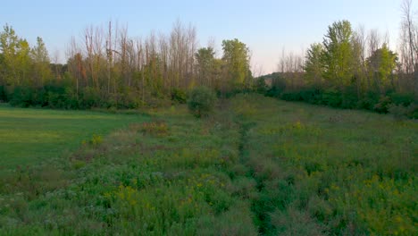 Hathaway-brook-stream-and-field-near-the-Joseph-Smith-family-farm,-frame-house,-temple,-visitors-center,-and-sacred-grove-in-Palmyra-New-York-Origin-locations-for-the-Mormons-and-the-book-of-Mormon