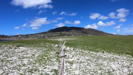 Hypnotisierender-Connemara-Irland-Hunde-Bucht-Strand-Zeitraffer