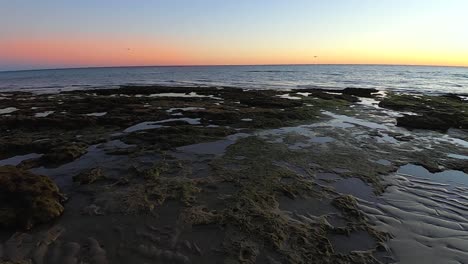 Pan-across-the-tide-pools-Puerto-Peñasco,-Gulf-of-California-Mexico,-at-sunset,-Puerto-Peñasco,-Gulf-of-California,-Mexico