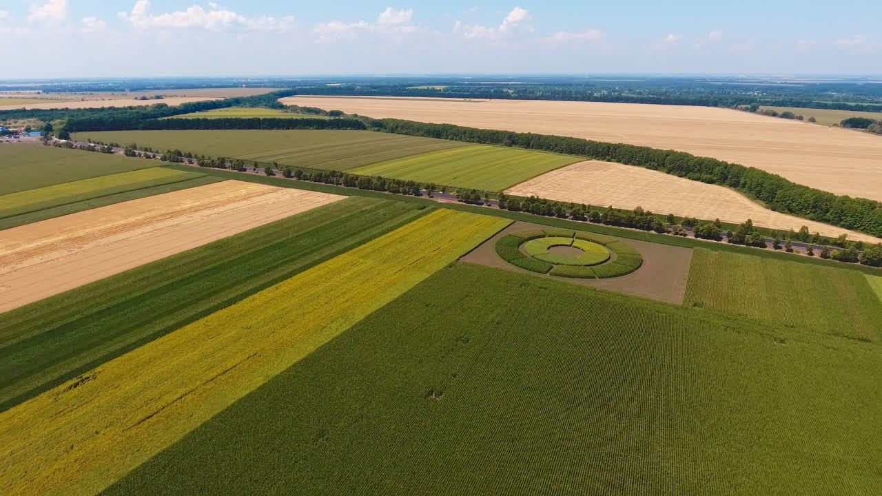Straight rows of different plants grown at the farmlands. All shades of greenery planted in a round garden. Blue sky and green horizon at backdrop.