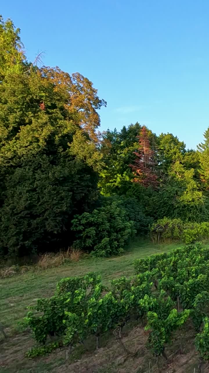 vistas panorámicas del viñedo y el letrero del pueblo
