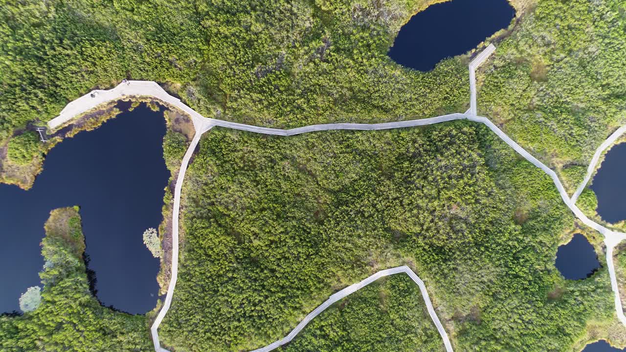 Aerial view of forest, zoom out revealing Lovrenska lakes and wooden footbridges