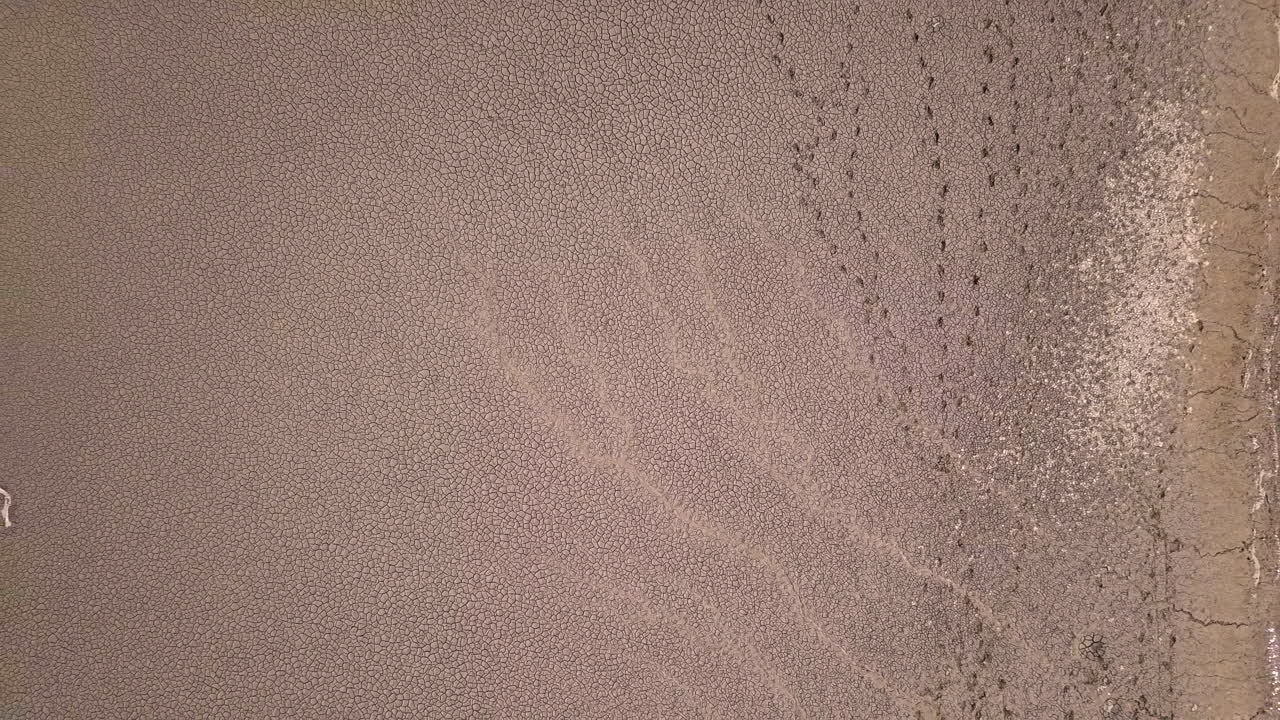 미시간 주 섬 호수와 홍수 물의 건조한 공중 촬영