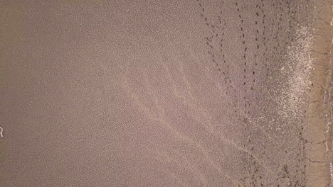 imagen aérea ascendente del seco lago wixom, michigan, y el agua de la inundación