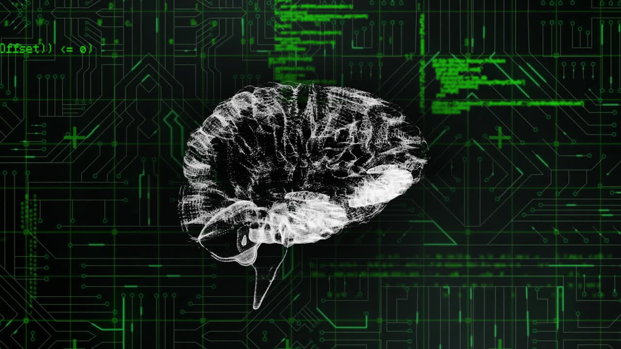 디지털 뇌와 디지털 회로와 함께 프로그램 코드