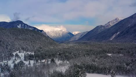 Schöner-Schneeszenenwald-Im-Winter.-Überfliegen-Von-Schneebedeckten-Kiefern.