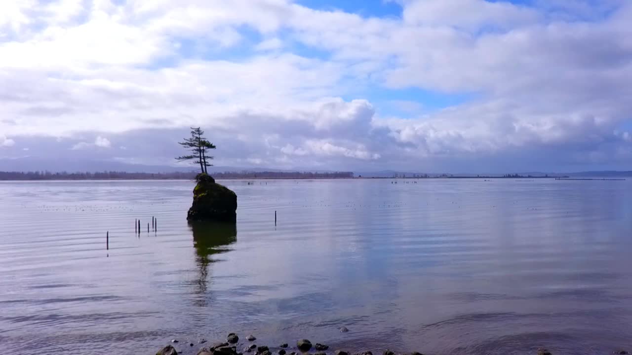 volando por un árbol solitario en una isla rocosa en la bahía con un dron 1080p