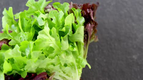 close-up of lettuce