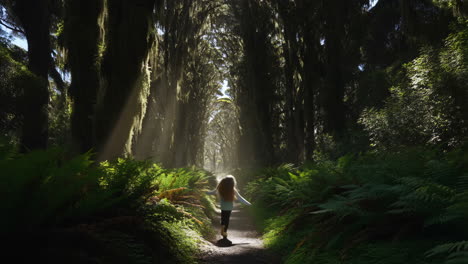 person walking through sunlit mossy forest path