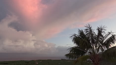 sunrise timelapse over banana plantation in tenerife with dramatic pink clouds developing over the fields