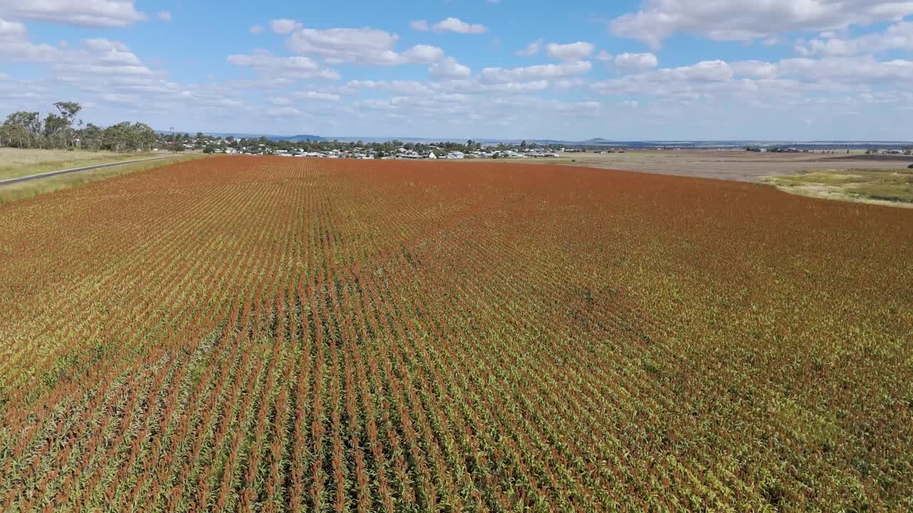 el avión no tripulado captura campos expansivos bajo cielos azules