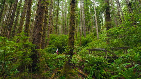 walking among the trees a mother and kids in the forest