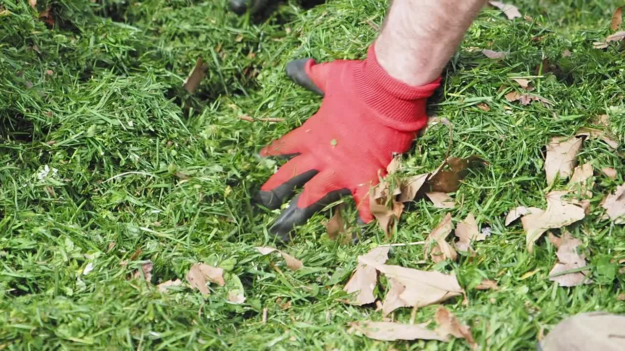 jardinería: compostaje de hierba y hojas