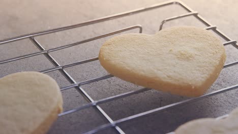 Animación-De-Guantes-Para-Hornear-Sobre-Galletas-En-Una-Caja