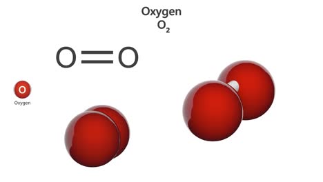 oxygen. molecule o2. seamless loop.