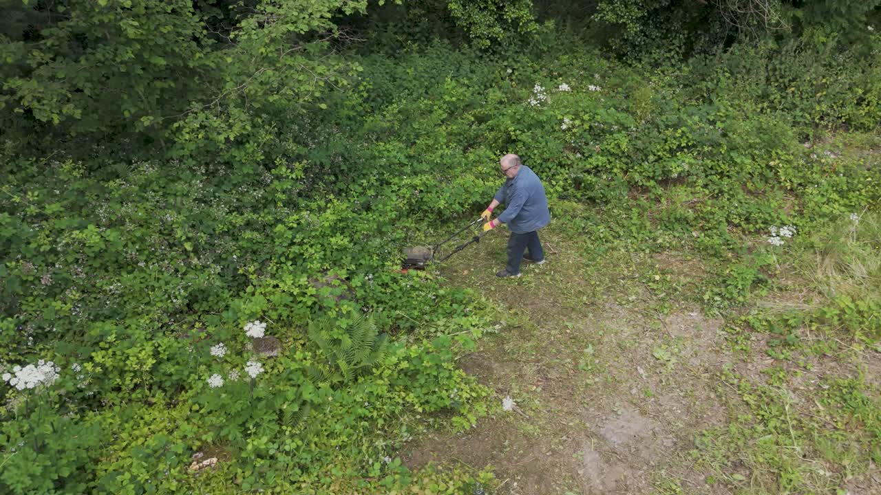 Man clearing overgrown vegetation with a brush cutter