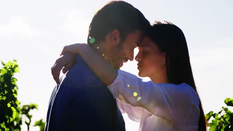 una pareja romántica enamorada en un viñedo