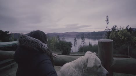 hd de una mujer y su casa de perro al aire libre frente a un lago